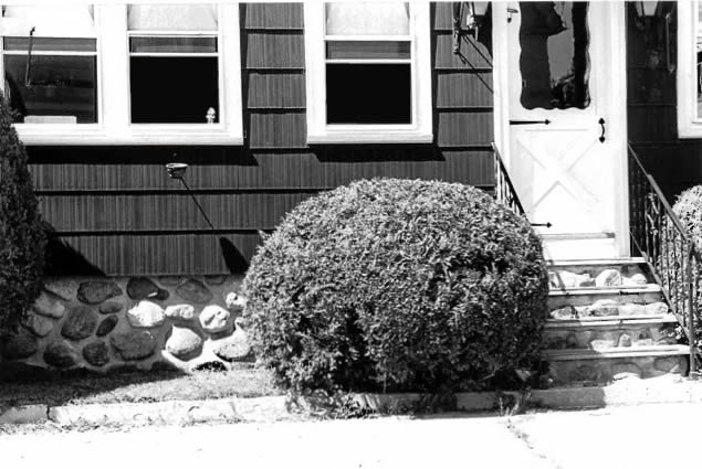 Photo 42