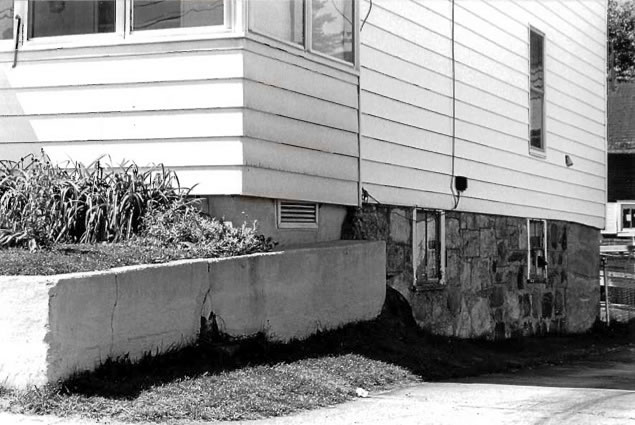 Photo 50