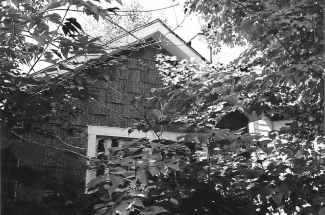 Photo 79