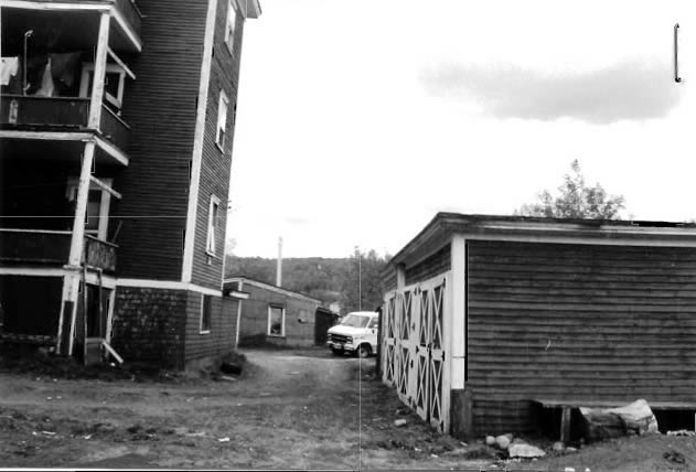 Photo 196